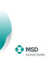 MSD Animal Health Russia