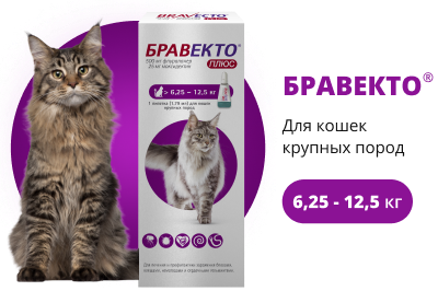 Бравекто