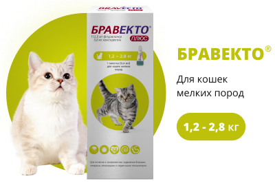 Бравекто