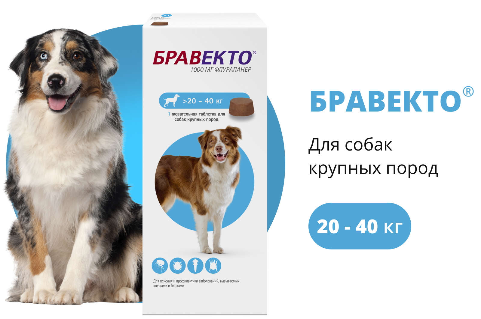 Бравекто для собак от чего. MSD animal Health Бравекто для собак 20-40 кг, таблетки 1000 мг. Бравекто 40кг. Бравекто для собак 20-40 кг таблетки. Таблетки от клещей для собак Бравекто 20-40 кг.