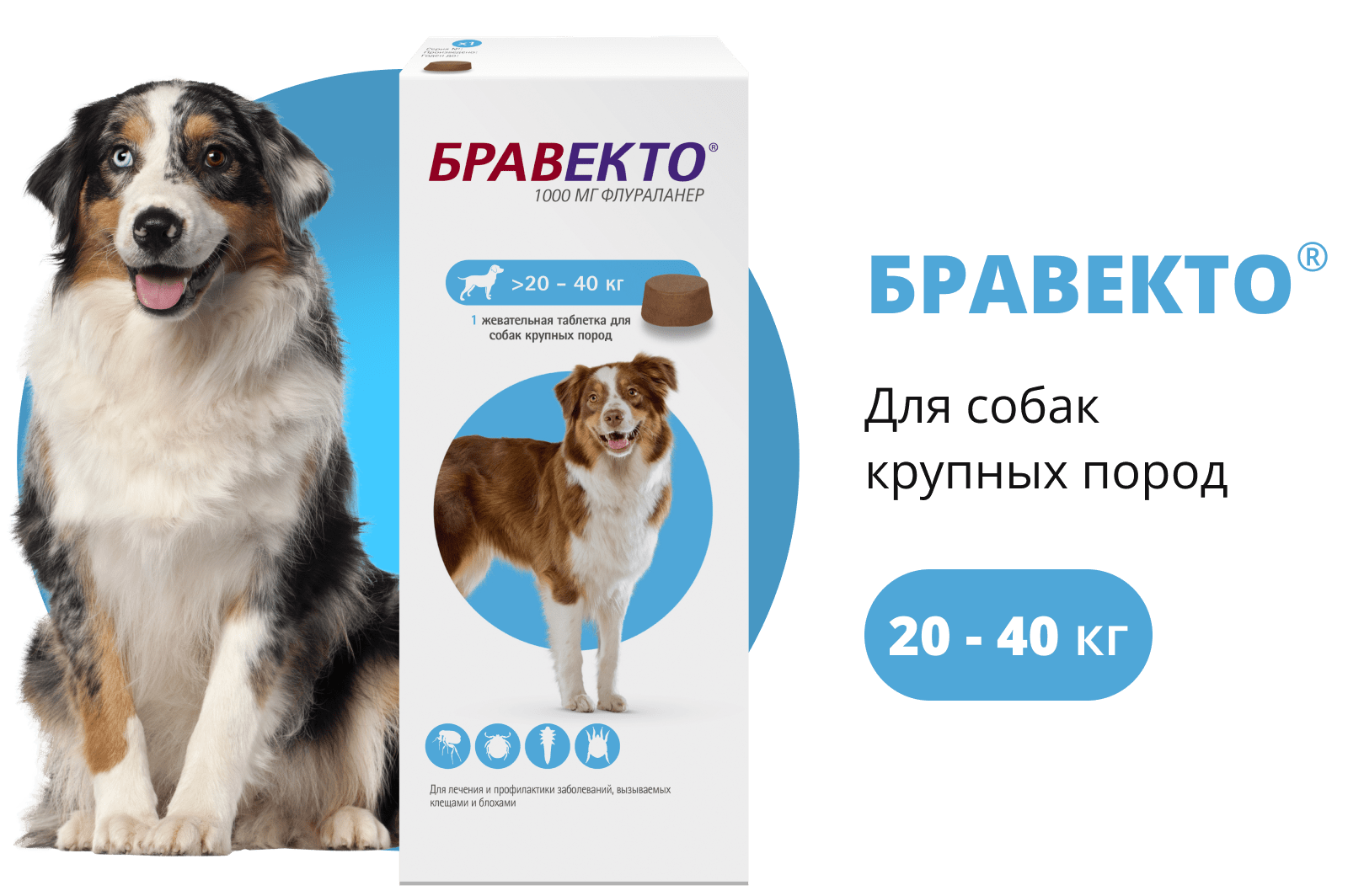 Бравекто для собак купить нижний новгород. MSD animal Health Бравекто для собак 20-40 кг, таблетки 1000 мг. Бравекто 20-40 таблетка. Бравекто 10-20 кг. Таблетки от клещей Бравекто 20-40 кг.